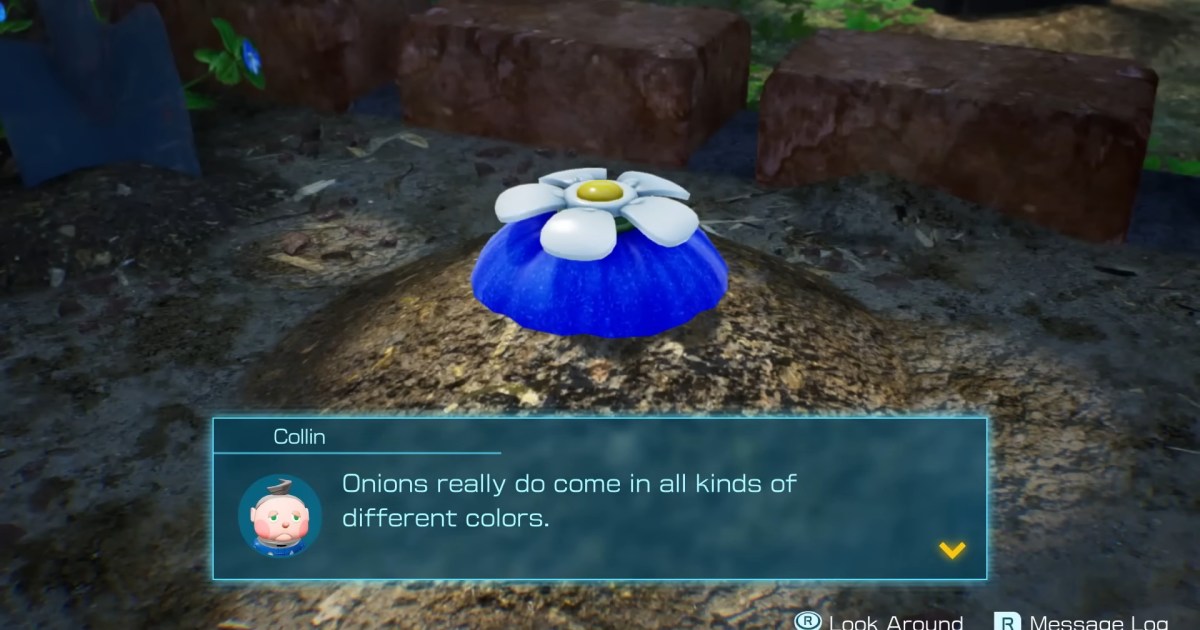 Pikmin 4: all onion areas
