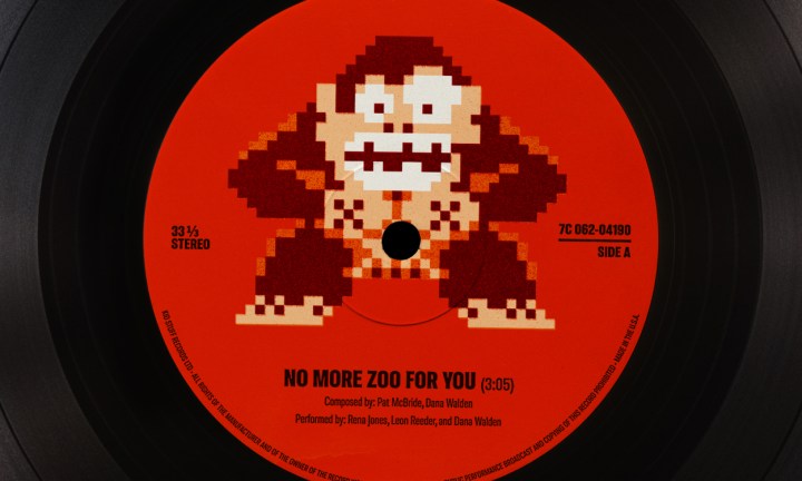 A pixelated Donkey Kong appears on a red vinyl record label.