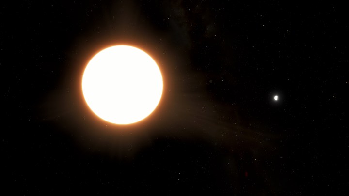 An artist affect of exoplanet LTT9779b orbiting its host wide establish. 