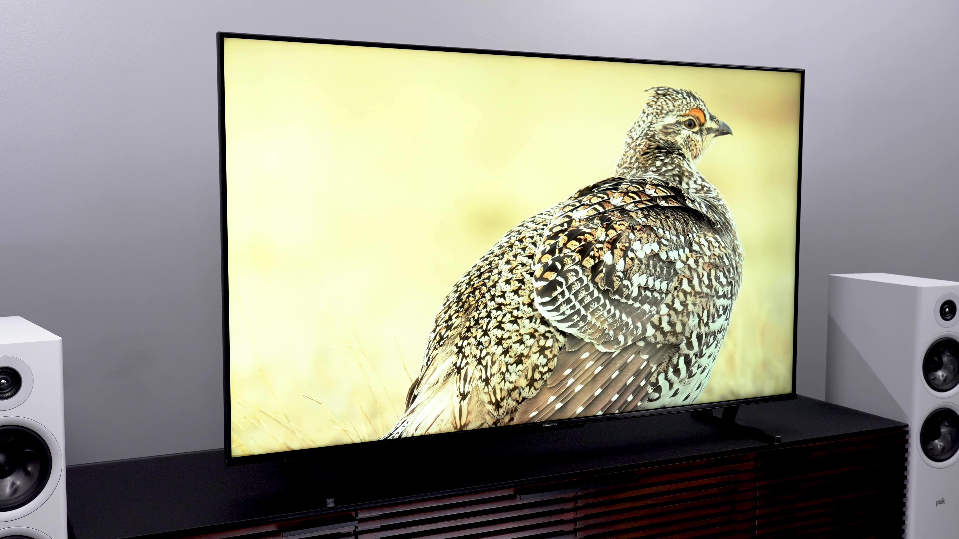 2023's best TVs for under $1,000 | Digital Trends - Vimarsana News