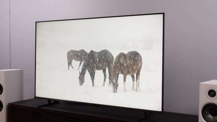 Three horses trying to graze in a snowstorm displayed on a Hisense U8K TV. 