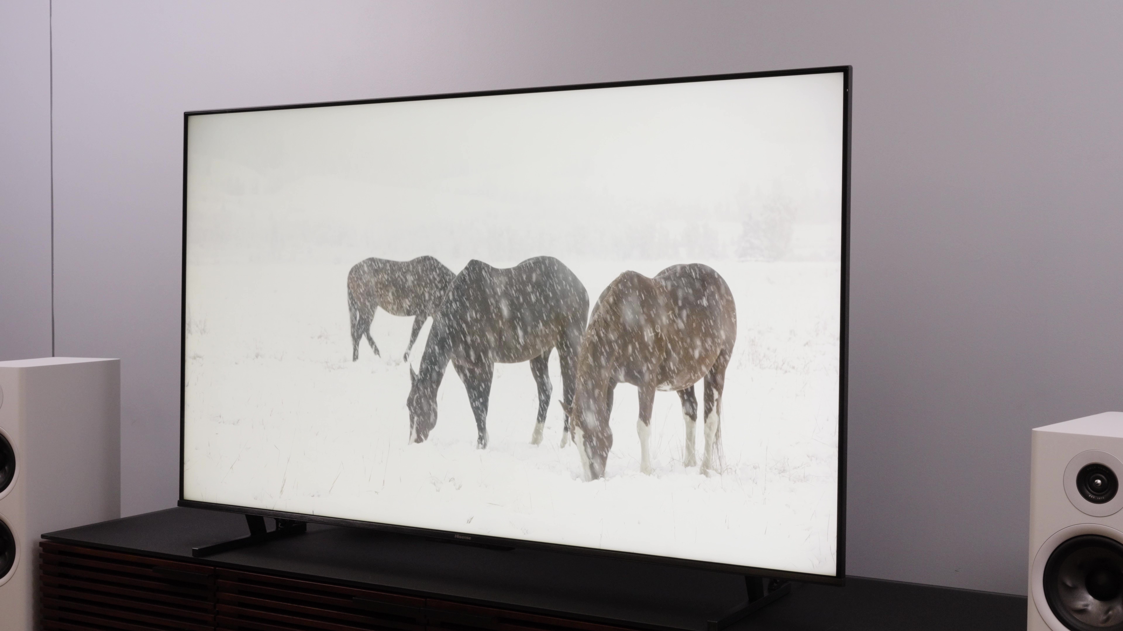 Três cavalos tentando pastar em uma tempestade de neve exibidos em uma TV Hisense U8K.