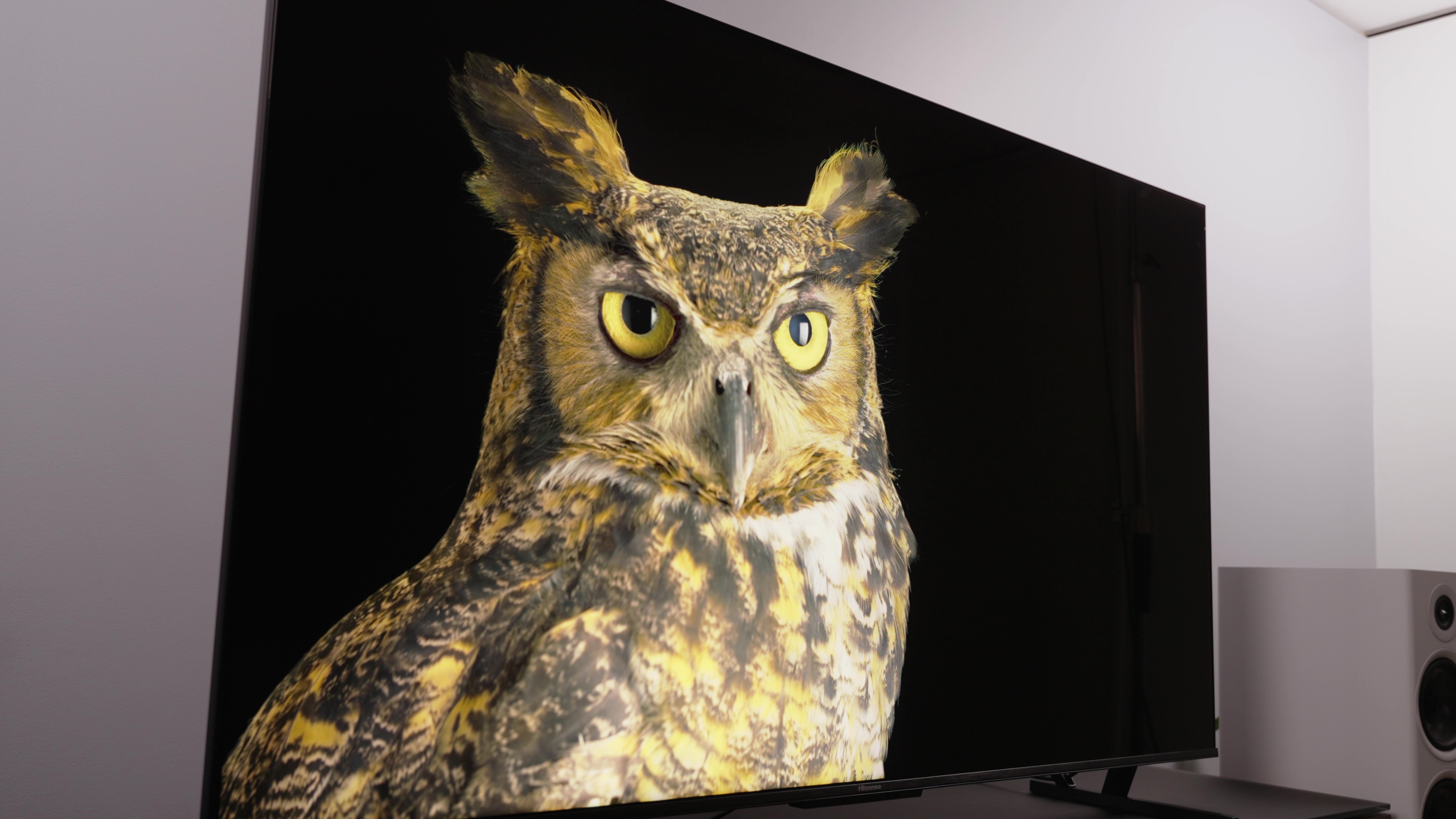 Hisense shows off massively bright 98- and 100-inch TVs at CES Hisense shows off massively bright 98- and 100-inch TVs at CES