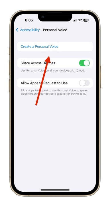 Personal Voice Feature in iOS 17 initial setup.