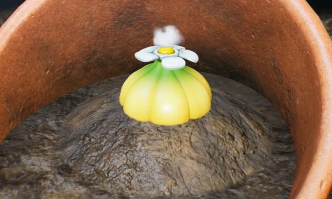 A Flarlic growing in a broken pot.