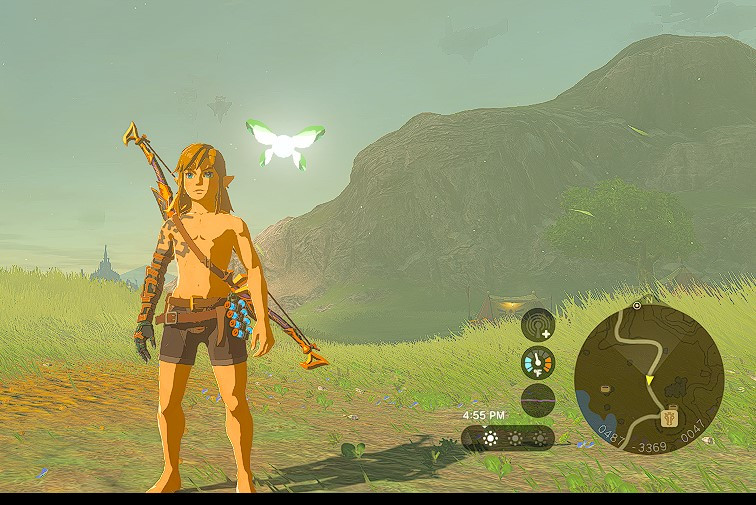 Link parado em um campo com navi perto de sua cabeça.