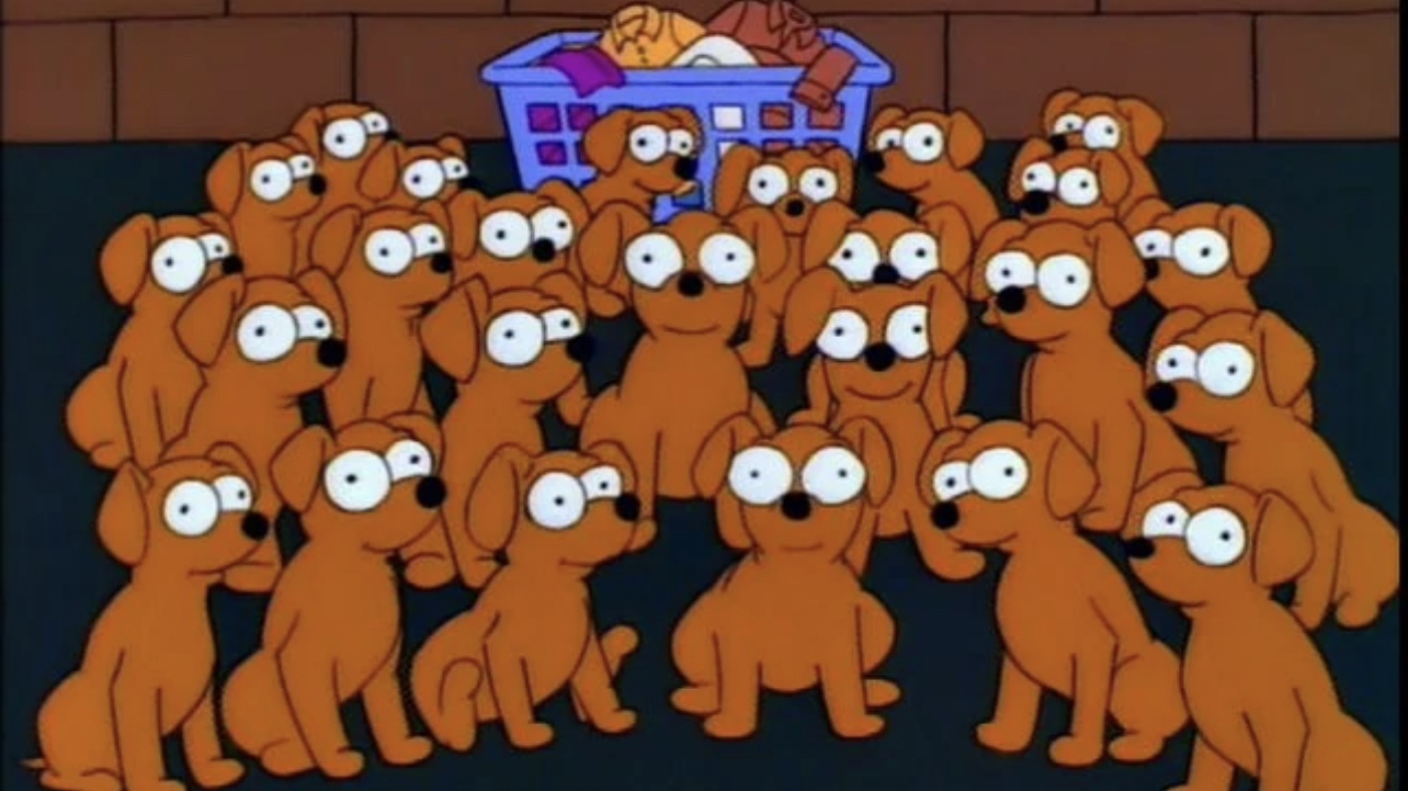 Two Dozen and One Greyhounds in the Simpsons