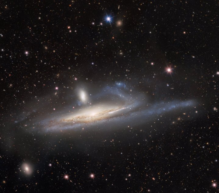 La galaxia espiral NGC 1532, también conocida como Haley's Coronet, está atrapada en un tira y afloja desequilibrado con su vecina más pequeña, la galaxia enana NGC 1531. La imagen, tomada por la Cámara de Energía Oscura del Departamento de Energía de los Estados Unidos (DOE) montada en el Telescopio de 4 metros Víctor M. Blanco de la Fundación Nacional de Ciencias (NSF) en el Observatorio Interamericano Cerro Tololo en Chile, un programa de NOIRLab de NSF, captura las influencias gravitacionales mutuas de una fusión masiva y de galaxias enanas.