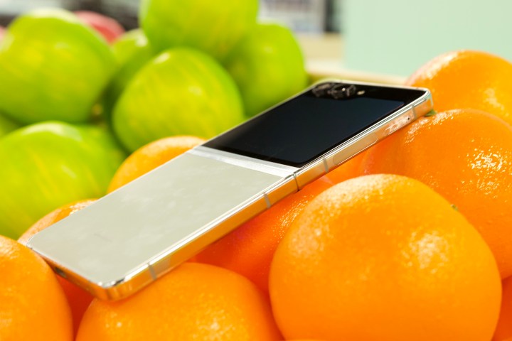 O Samsung Galaxy Z Flip 5 deitado em laranjas.