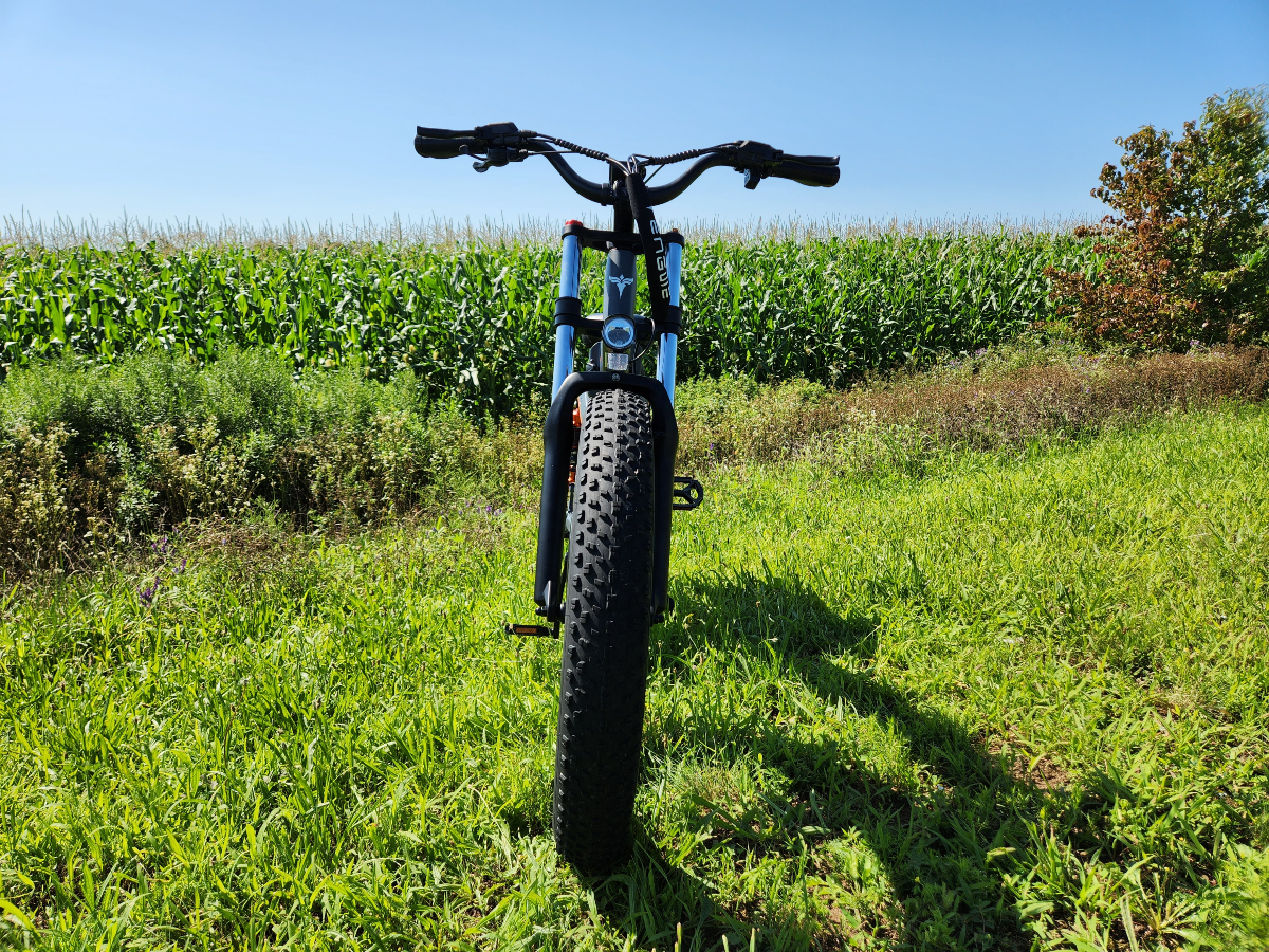 Engwe X24 straight on front image against cornfield, highlighting the front semi-knobby tire.