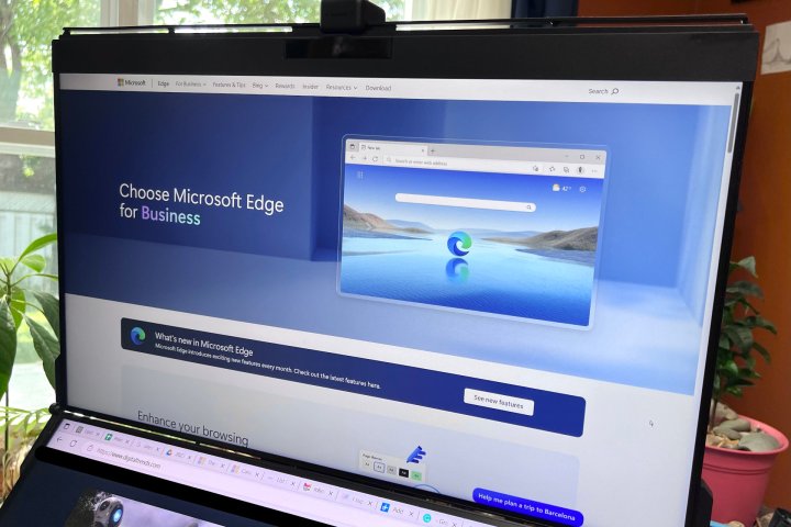 Microsoft Edge appears on a computer screen with plants and a window in the background.