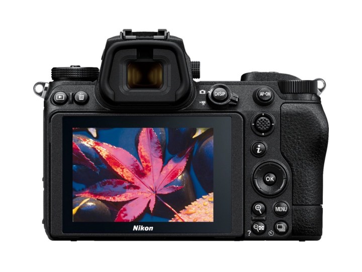 The Nikon Z6 II mirrorless camera pointed away with a leaf on its display against a white background.
