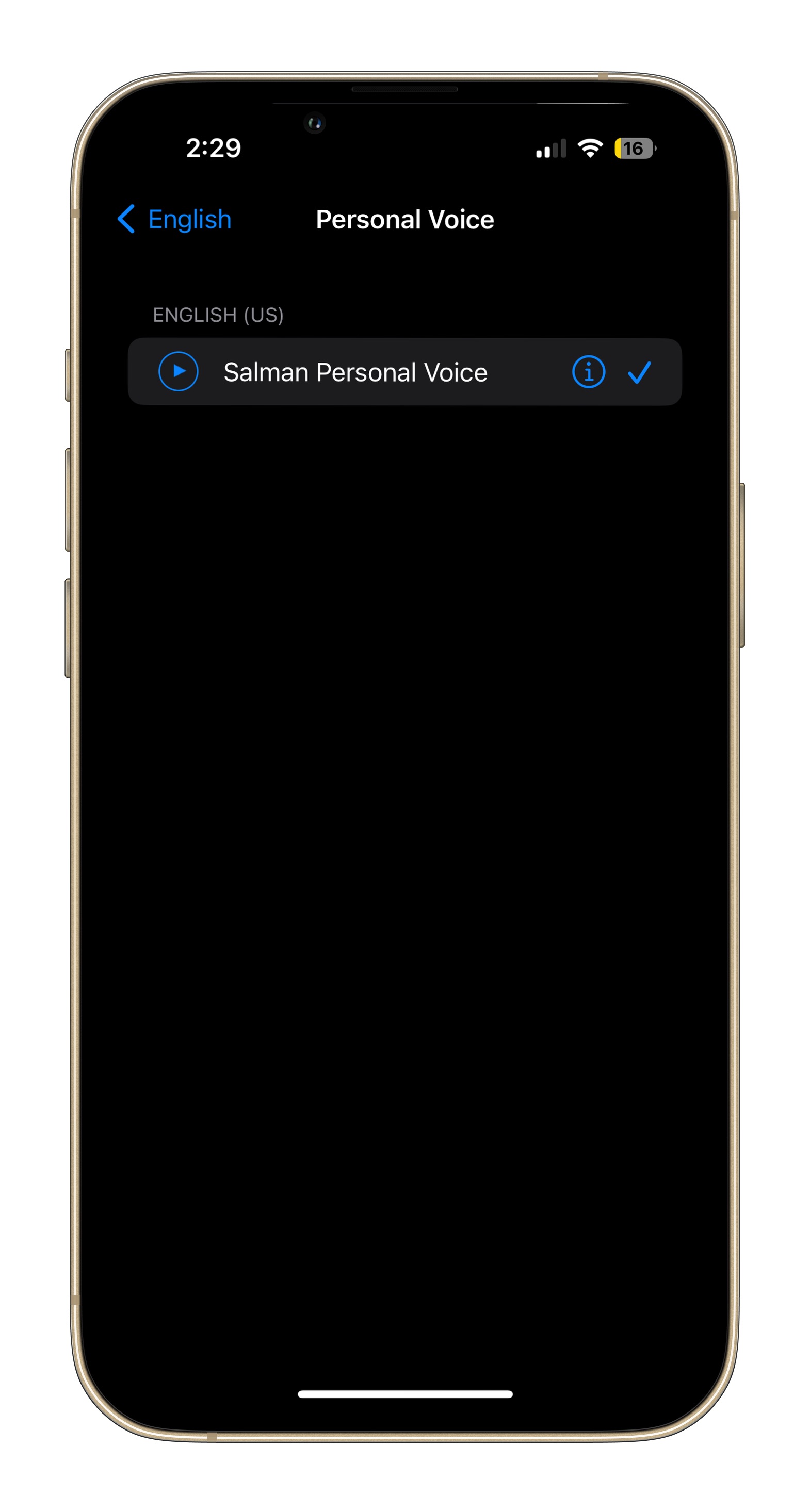 Picking up Personal Voice on iPhone.