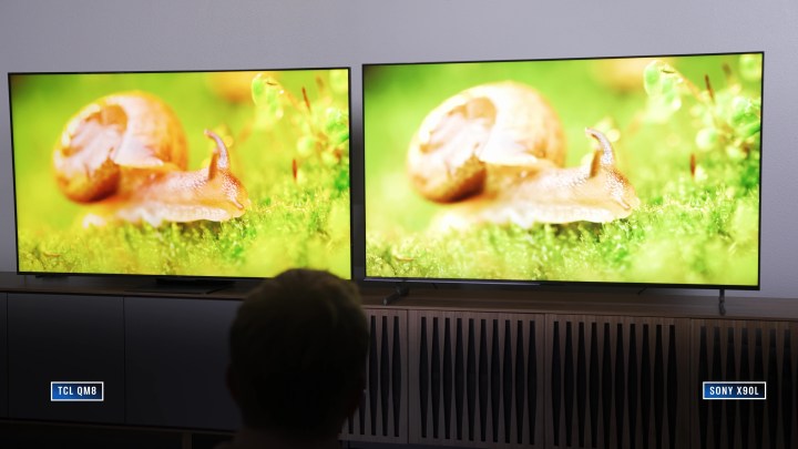 A side-by-side comparison of the TCL QM8 and Sony X90L. Both screens show a closeup of a snail in green grass. 