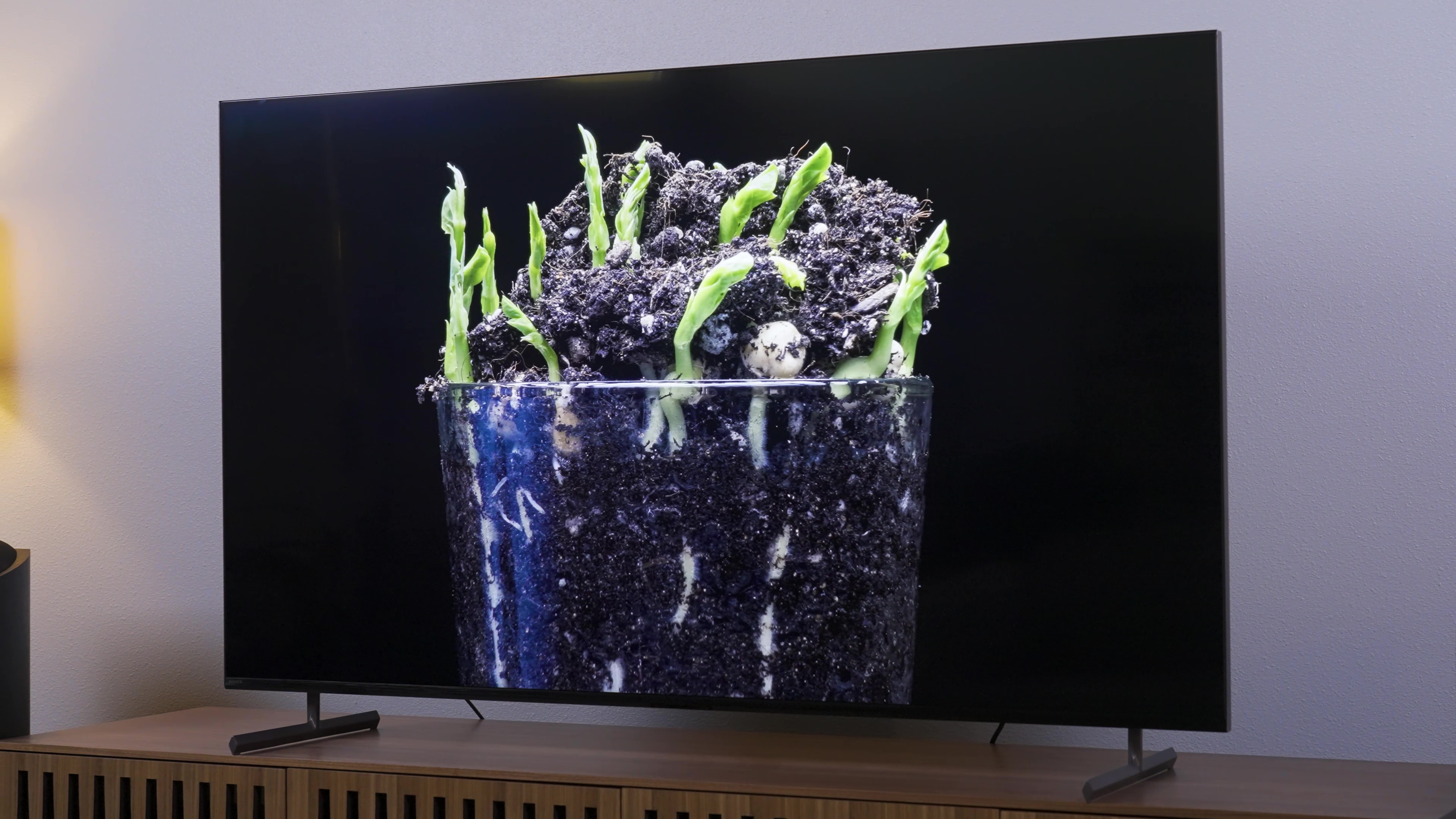 Green plant shoots push up through dirt in a clear vessel seen on a Sony X90L.