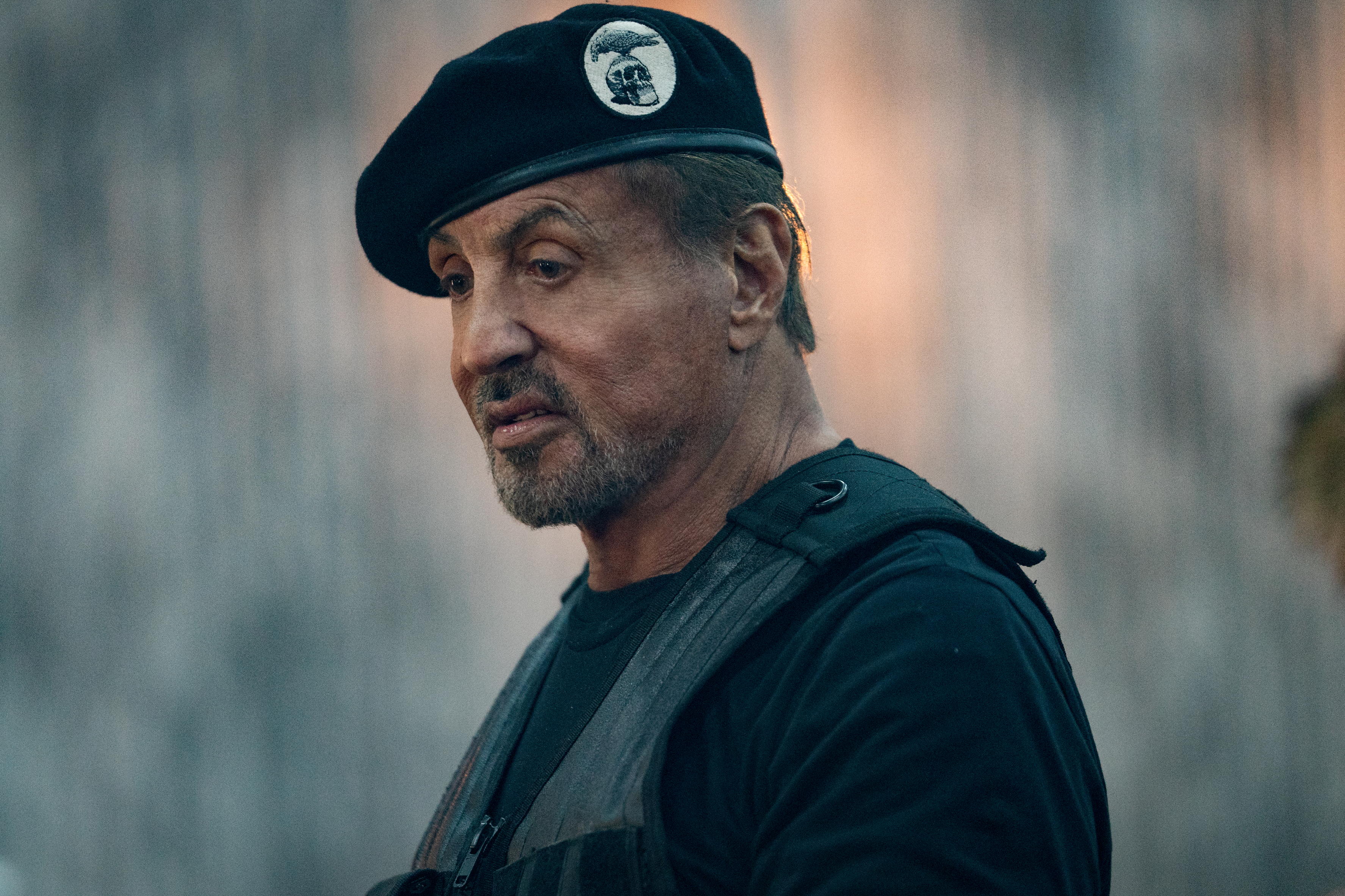 The 7 best Sylvester Stallone action movies, ranked - Vimarsana News