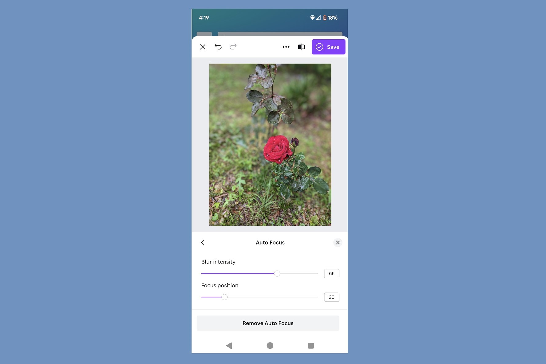 The Auto Focus screen on the Canva Android mobile app.