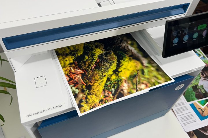 The Color LaserJet Pro 4301fdw has great photo print quality on glossy paper.