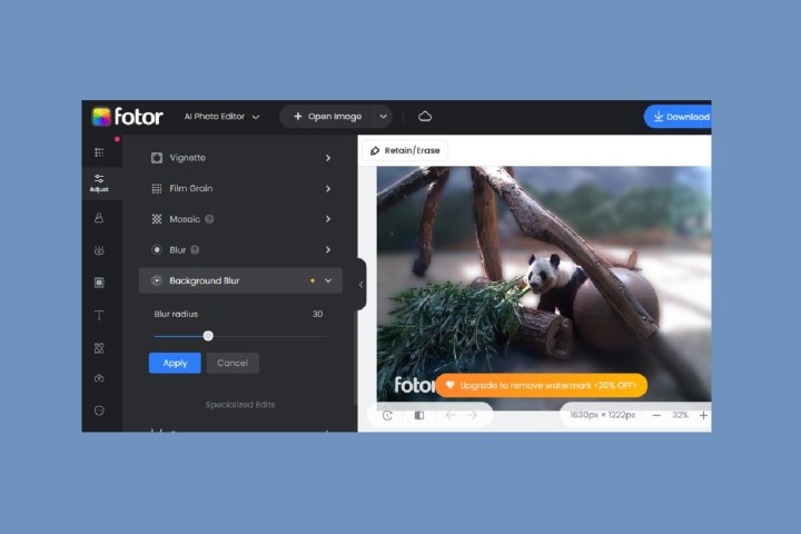 The Fotor web photo editor and its Background Blur tool.