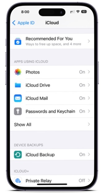 iCloud settings on an iPhone.