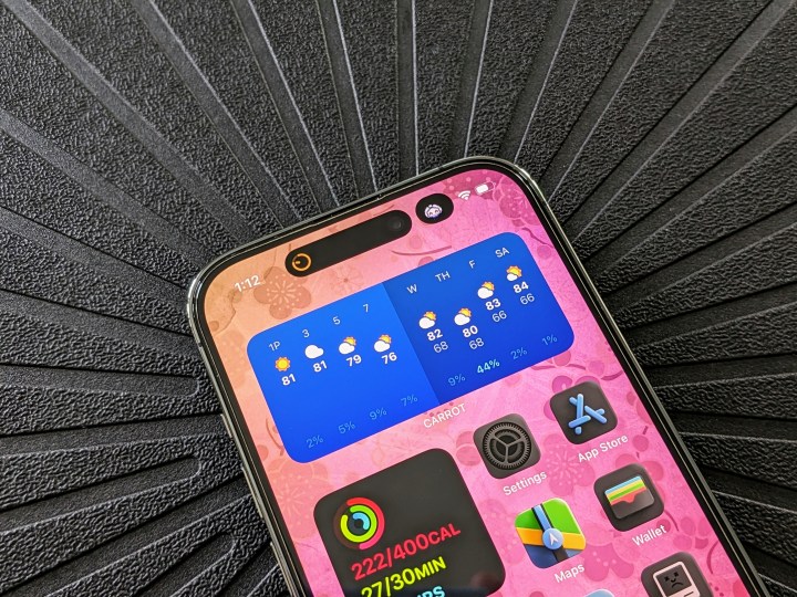 The Dynamic Island on an iPhone 14 Pro featuring the Timer and Pixel Pals running at the same time.