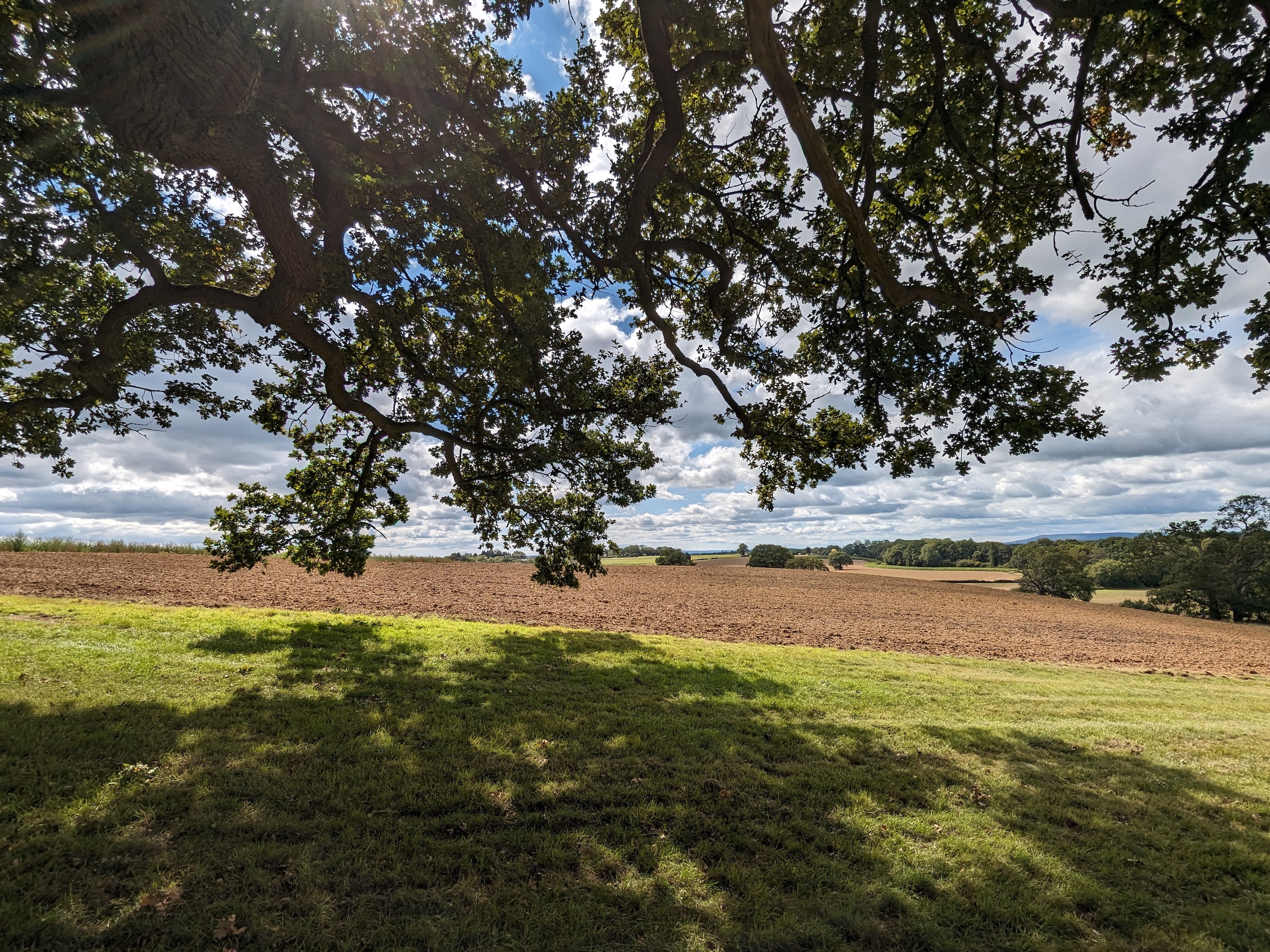 A wide-angle photo taken with the Google Pixel Fold.