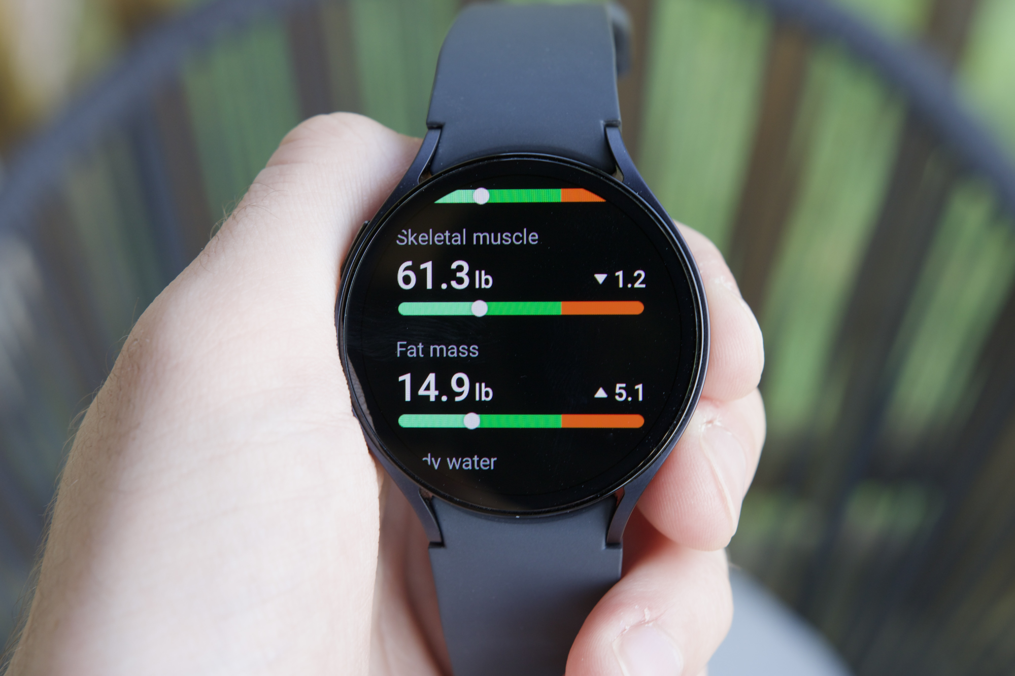 Estadísticas de composición corporal en el Samsung Galaxy Watch 6.