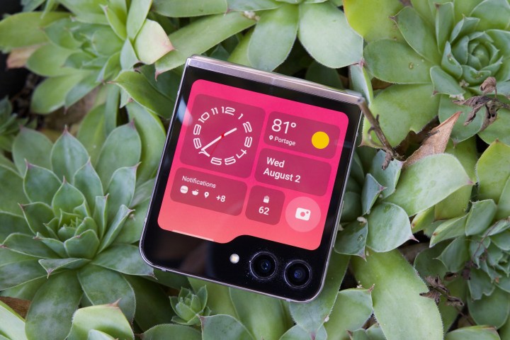 The Samsung Galaxy Z Flip 5 resting on top of succulents, with its cover display on.