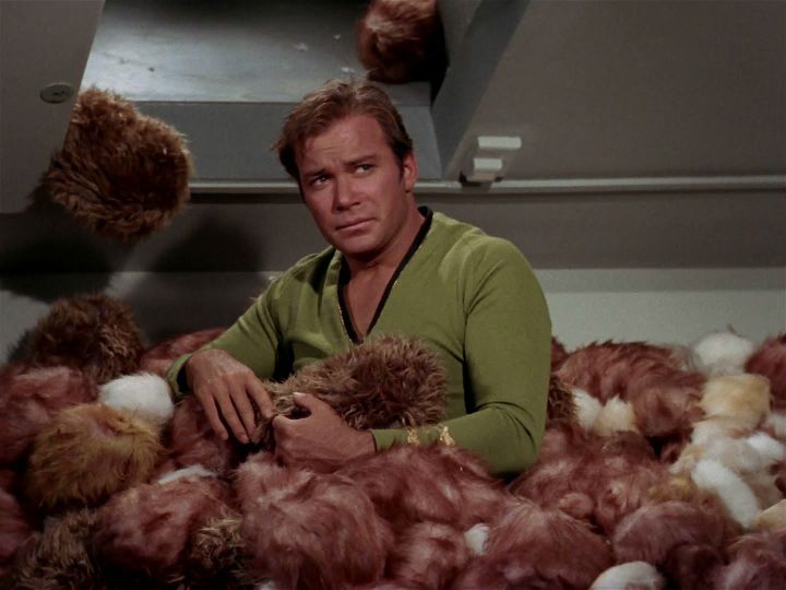 Captain Kirk, upset, buried waist-deep in Tribbles.
