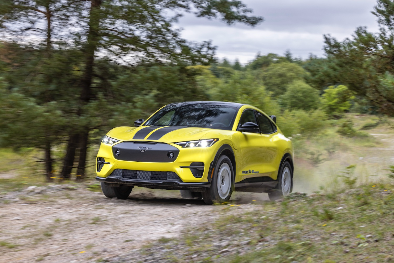 Ford Mustang Mach-E Rally kicks up some dirt - Vimarsana News