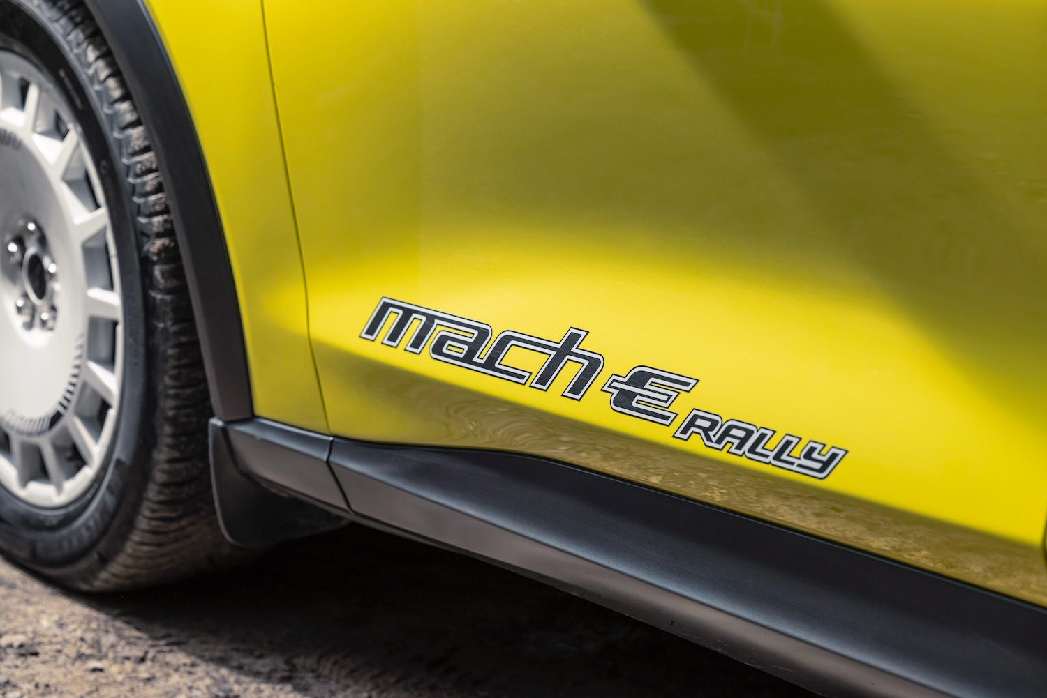 Ford Mustang Mach-E Rally script.