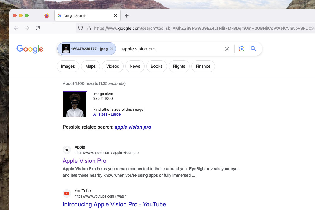 The Disable Google Lens browser extension in Firefox, showing a restored reverse image search in Google Images.