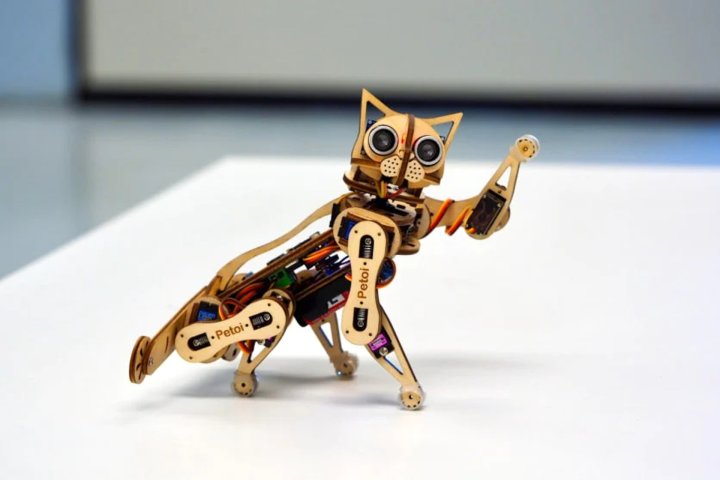 Petoi fabrique également un chat robot appelé Nybble.