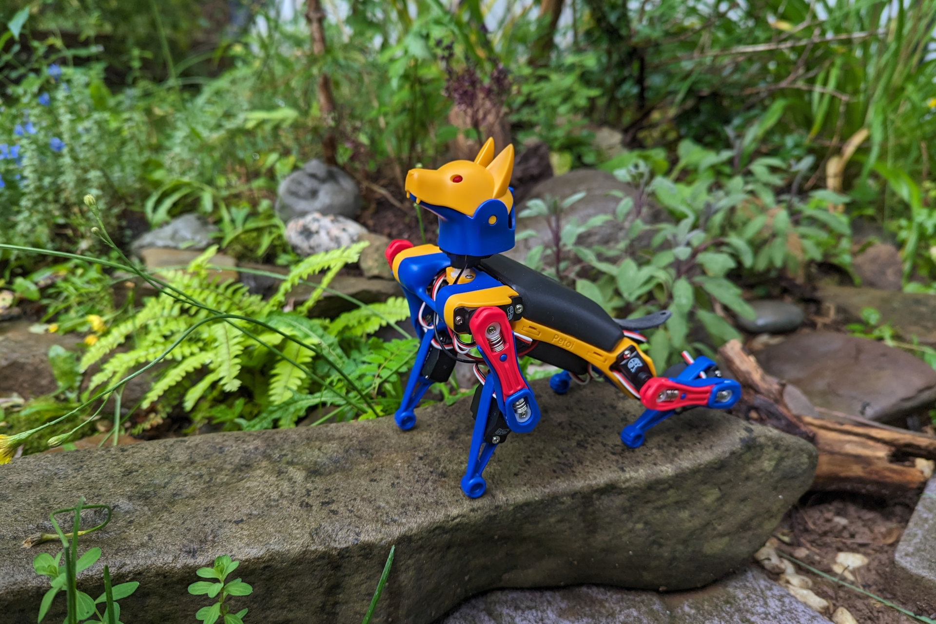 I built my own robot dog, and you can too - Vimarsana News