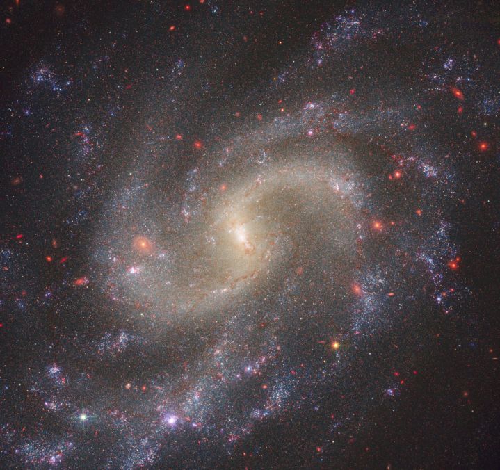Kombinierte Beobachtungen der NIRCam (Near-Infrared Camera) der NASA und der WFC3 (Wide Field Camera 3) von Hubble zeigen die Spiralgalaxie NGC 5584, die 72 Millionen Lichtjahre von der Erde entfernt liegt. Zu den leuchtenden Sternen von NGC 5584 gehören pulsierende Sterne, sogenannte Cepheid-Variablen, und Supernovae vom Typ Ia, eine besondere Klasse explodierender Sterne. Astronomen nutzen Cepheid-Variablen und Typ-Ia-Supernovae als zuverlässige Entfernungsmarker, um die Expansionsrate des Universums zu messen.