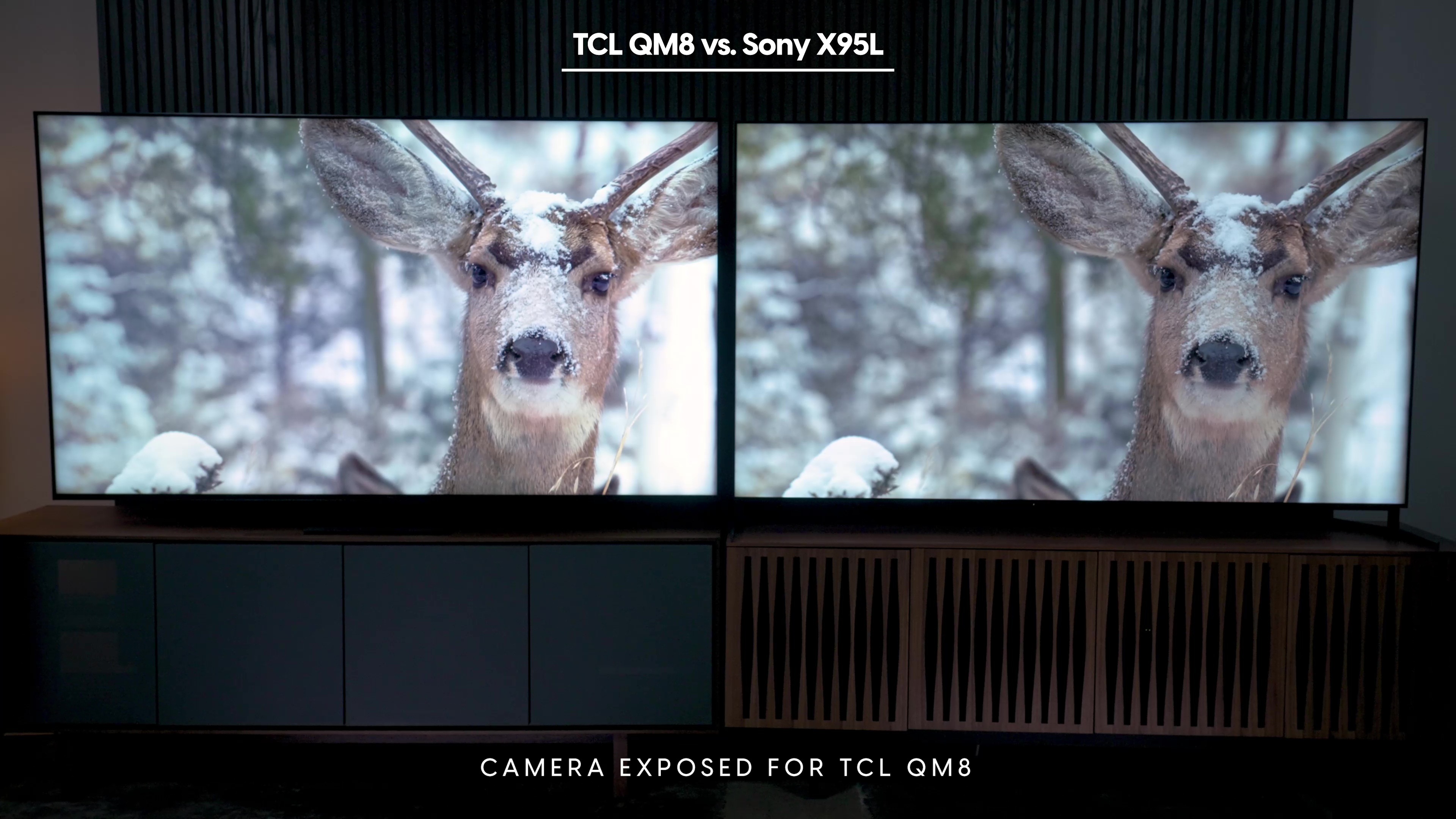 Comparação lado a lado de uma cena de um cervo na neve em um Sony Bravia X95L vs TCL QM8.