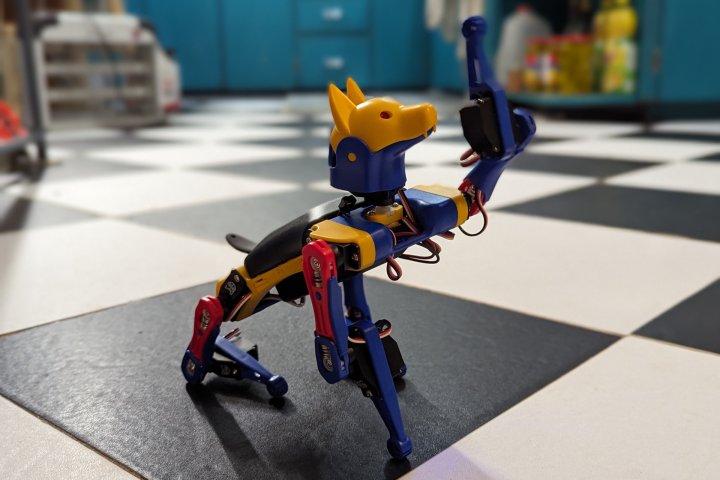 The Bittle X robot dog raises a paw to wave at me.