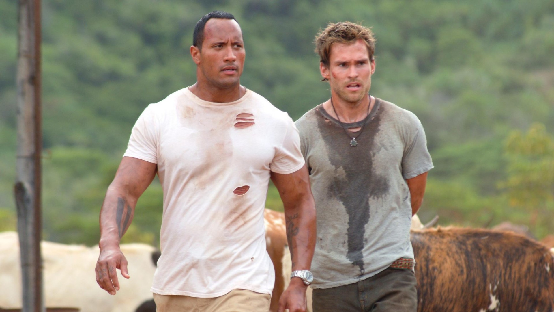 20 years later, The Rundown is still The Rock's best action-hero role - Vimarsana News