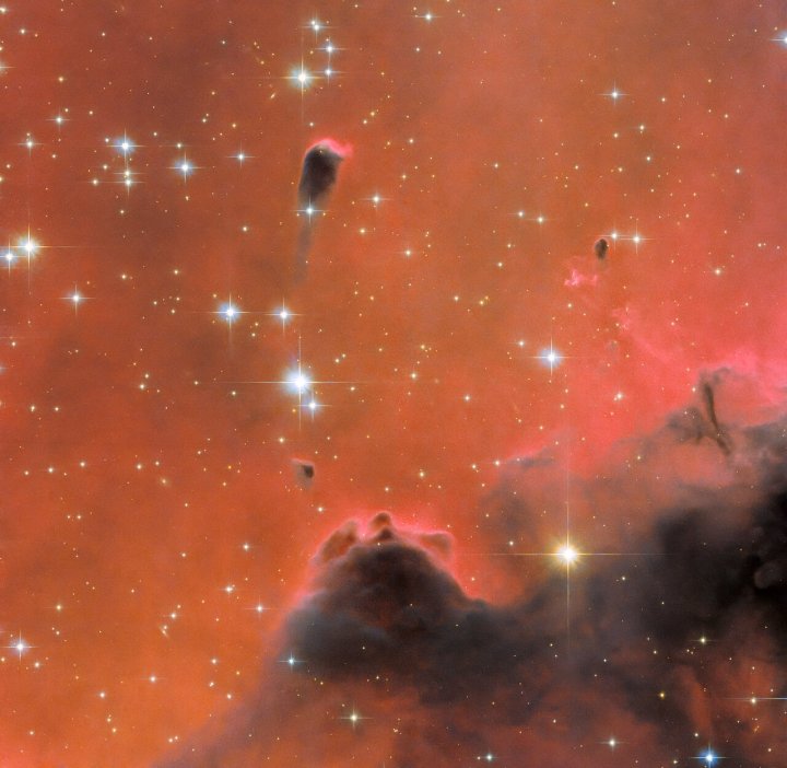 Pünktlich zur Herbstlaubsaison zeigt dieses Bild des Hubble-Weltraumteleskops der NASA/ESA eine glitzernde Szene in Rot. Es enthüllt einen kleinen Bereich des Nebels Westerhout 5, der etwa 7.000 Lichtjahre von der Erde entfernt liegt. Dieses leuchtende, von hellem rotem Licht durchdrungene Bild weist eine Vielzahl interessanter Merkmale auf, darunter ein frei schwebendes verdunstendes Gaskügelchen (frEGG). Das frEGG in diesem Bild ist der kleine kaulquappenförmige dunkle Bereich oben in der Mitte links. Diese lebhaft aussehende Blase trägt zwei Namen – [KAG2008] Globule 13 und J025838.6+604259.