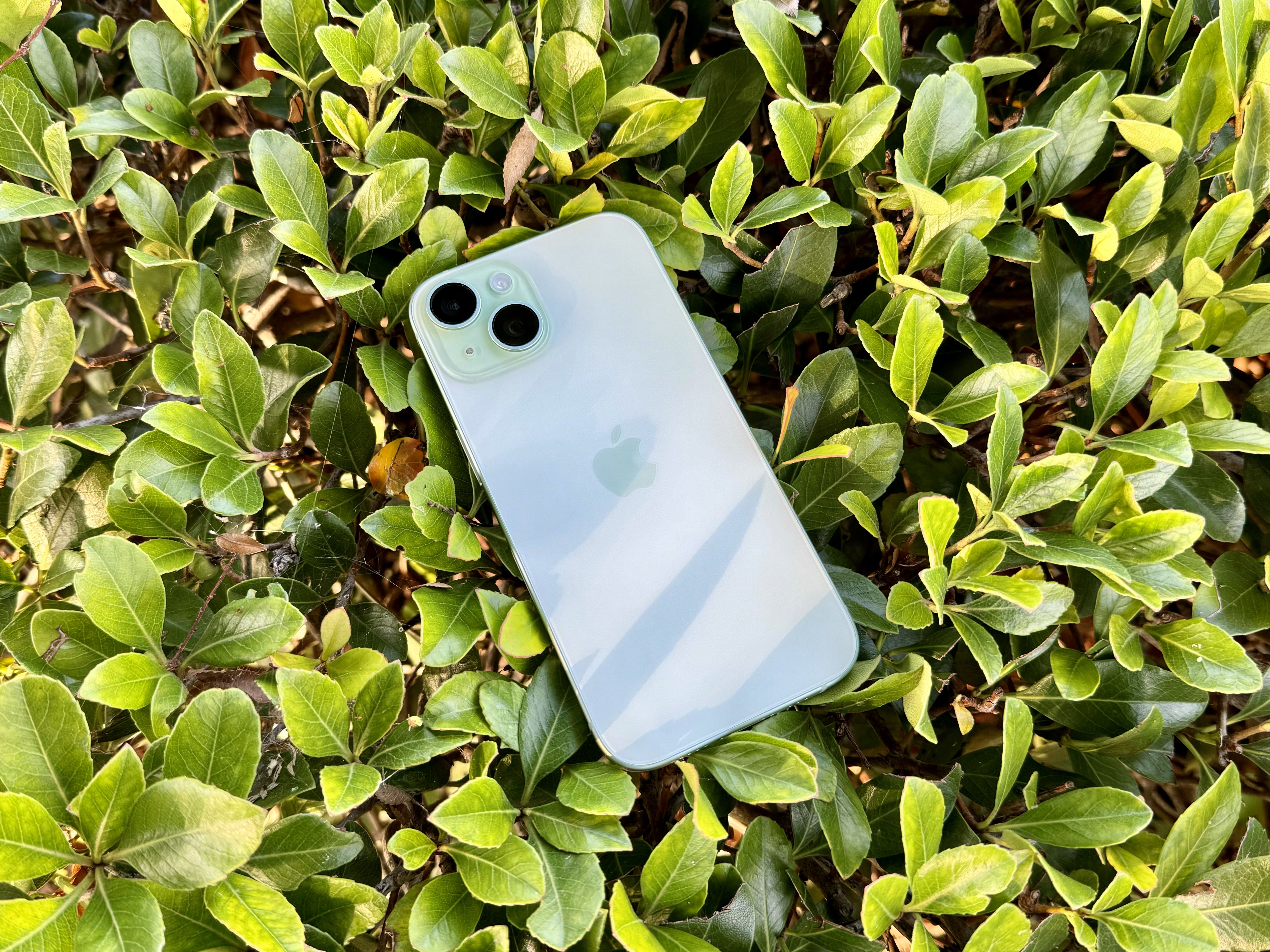 A green iPhone 15 in a bush.