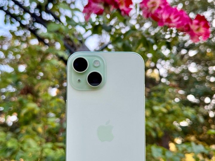 A green iPhone 15 in front of a plant.