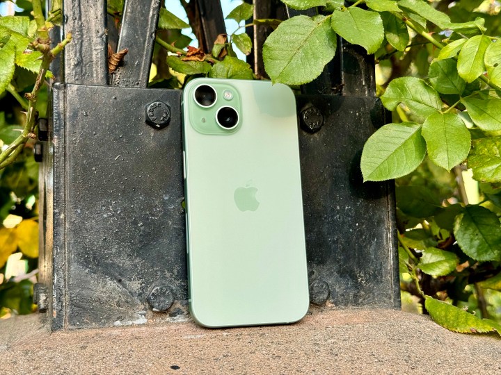 Green iPhone 15 leaning against an arch in a rose garden.