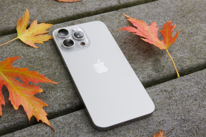 iPhone 15 Pro Max posé sur le sol entouré de feuilles.