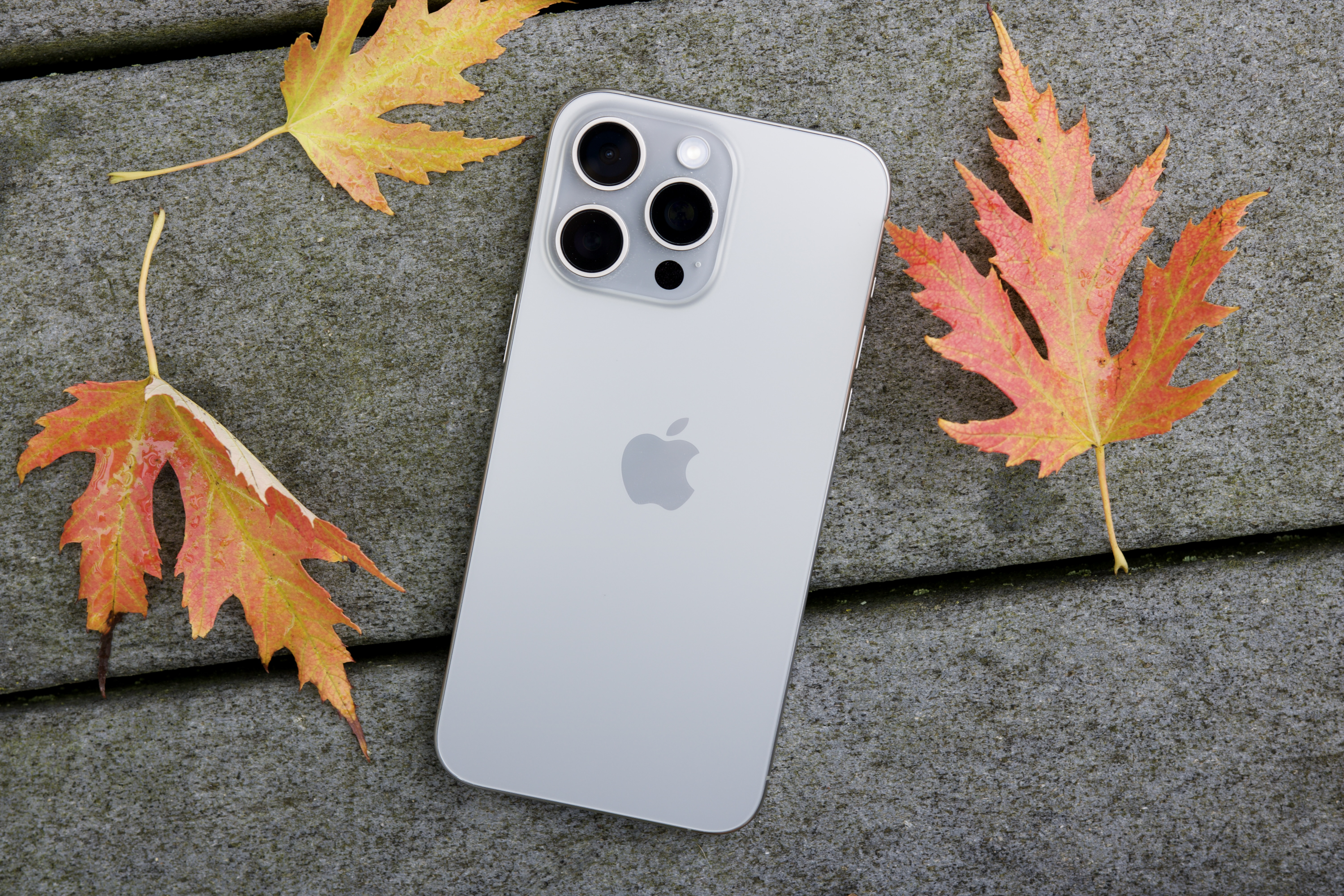 iPhone 15 Pro Max tirado en el suelo rodeado de hojas.