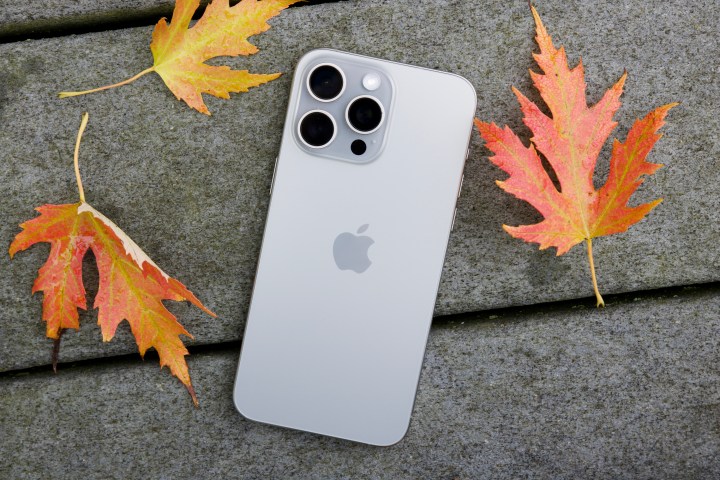 iPhone 15 Pro Max 躺在地上，周围都是树叶。
