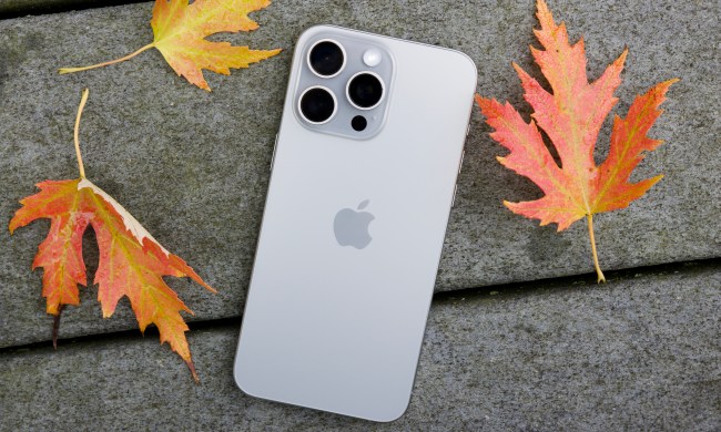 iPhone 15 Pro Max lying on the ground surrounded by leaves.