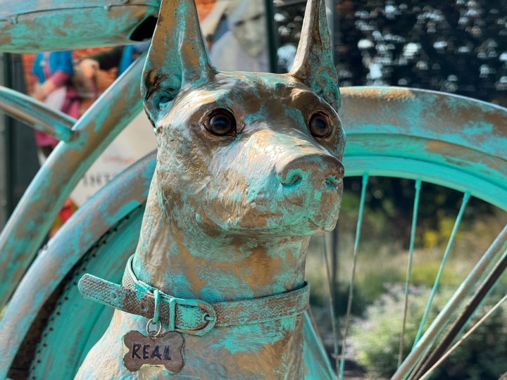 Foto scattata con il teleobiettivo dell'iPhone 15 Pro Max di una scultura di un cane.
