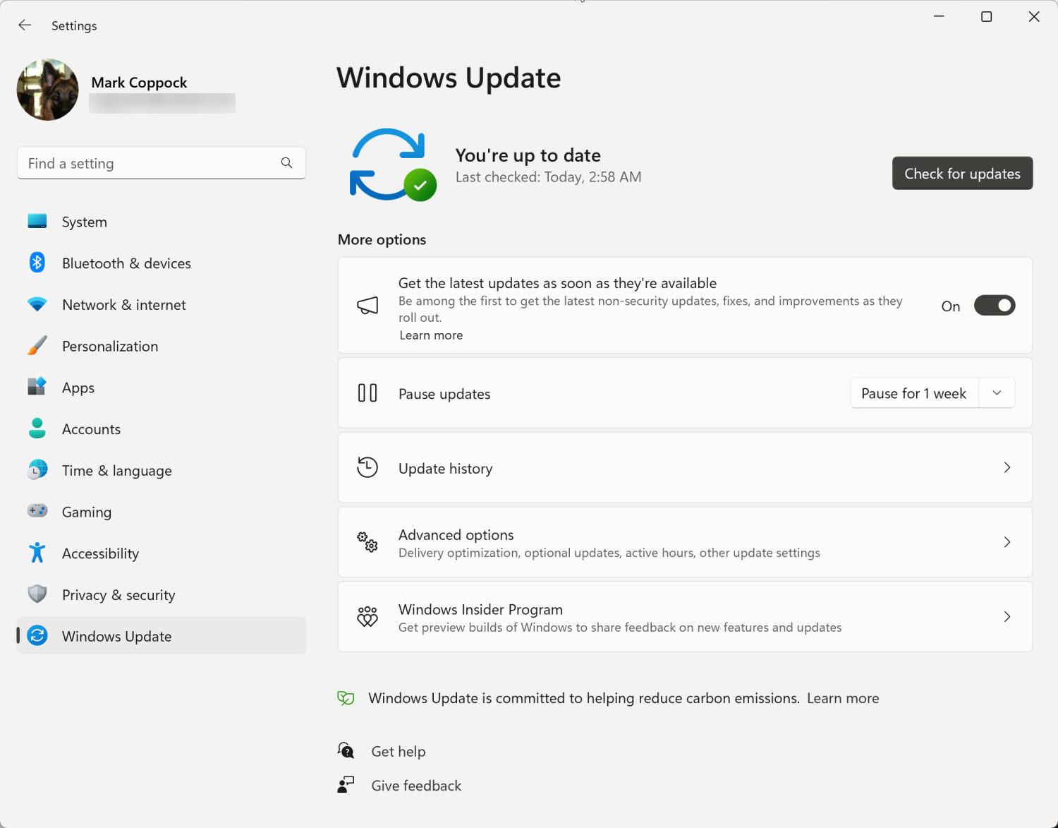 Otomatik güncelleme seçeneğini gösteren Windows 11 ekran görüntüsü.