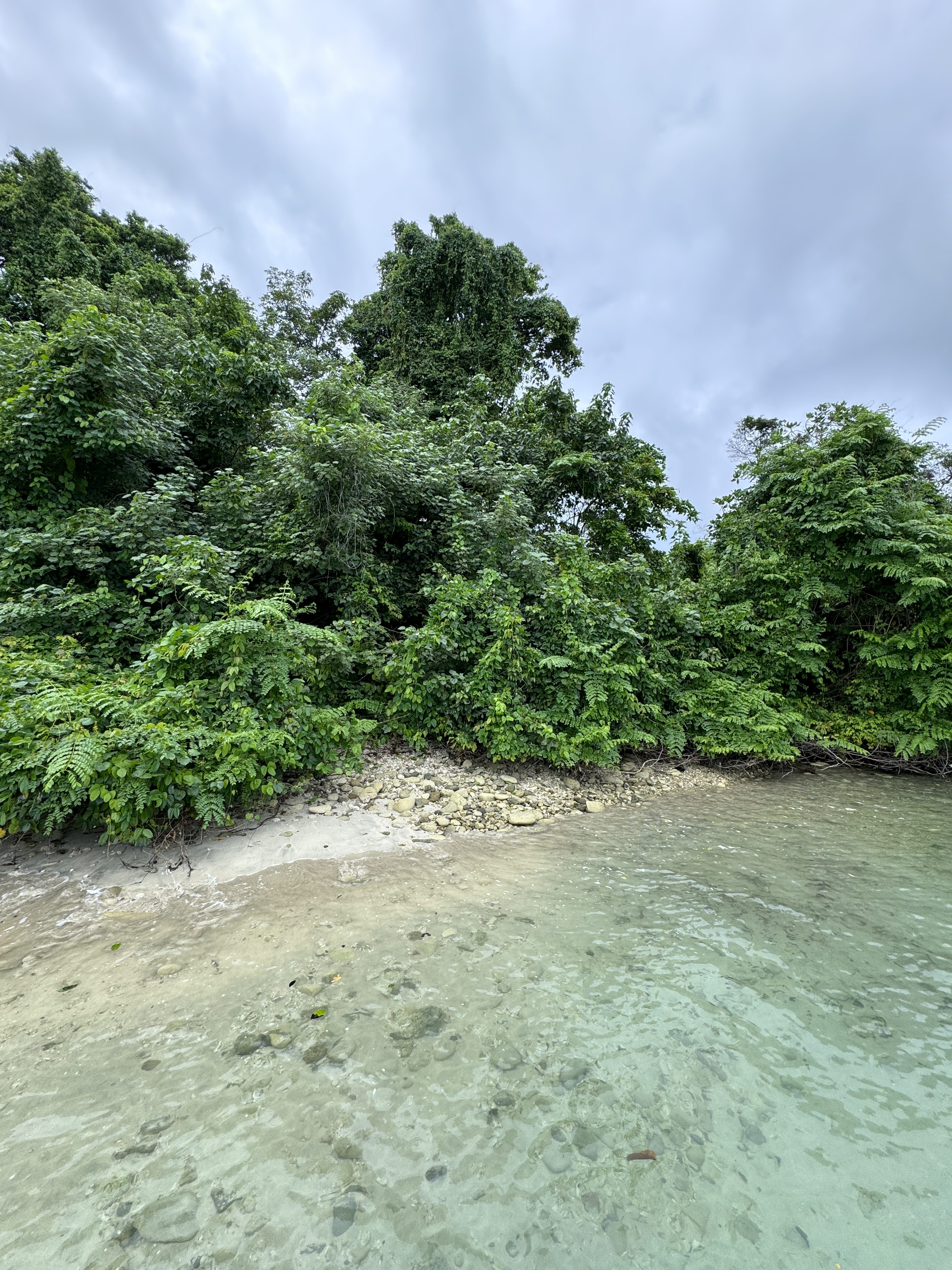 iPhone 15 Pro Fotografik Stil Col ile ağaçlar, kum ve su ile çekilen doğa fotoğrafı