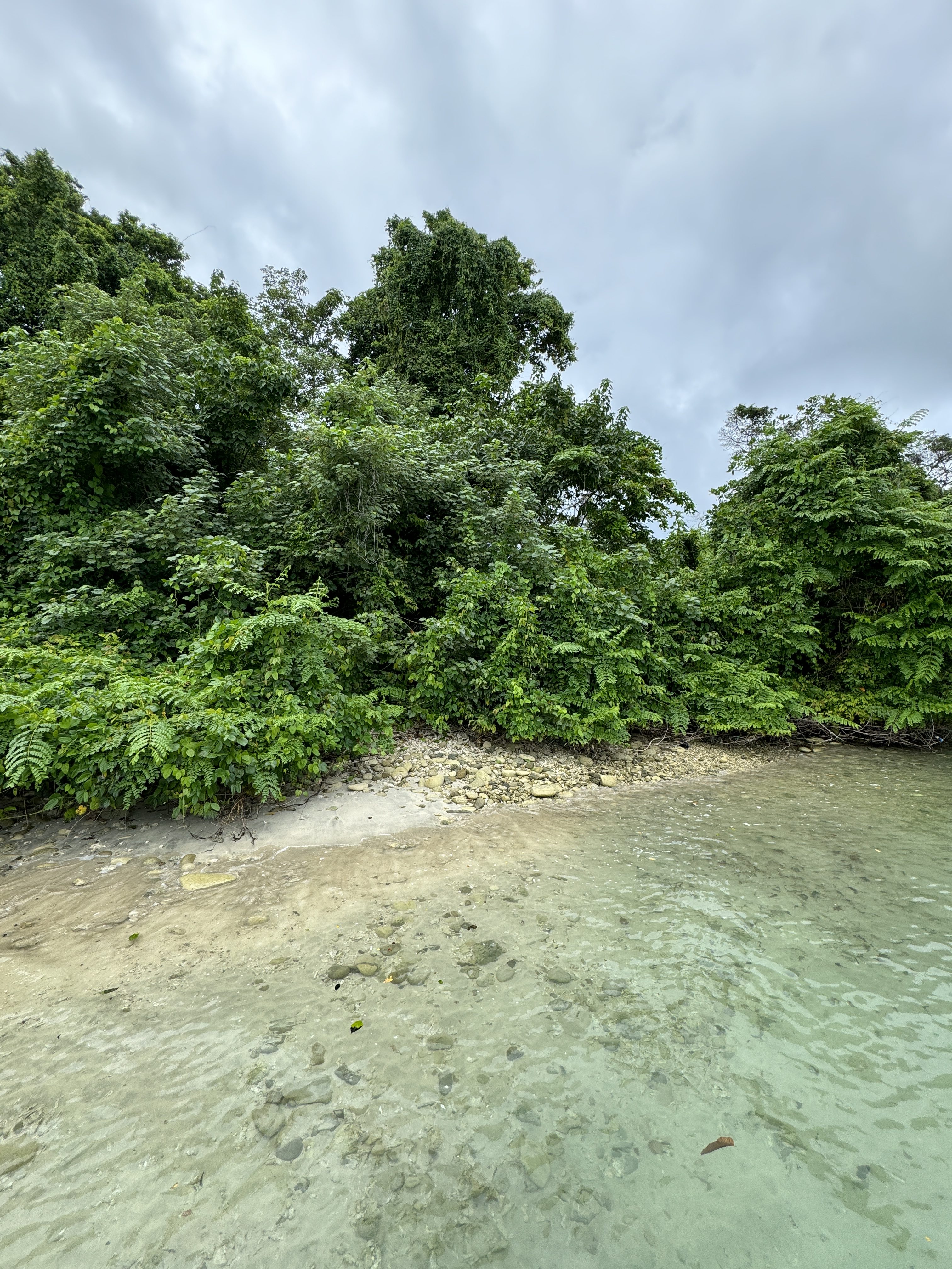 عکس طبیعت با درختان، شن و ماسه و آب در استاندارد سبک عکاسی iPhone 15 Pro.
